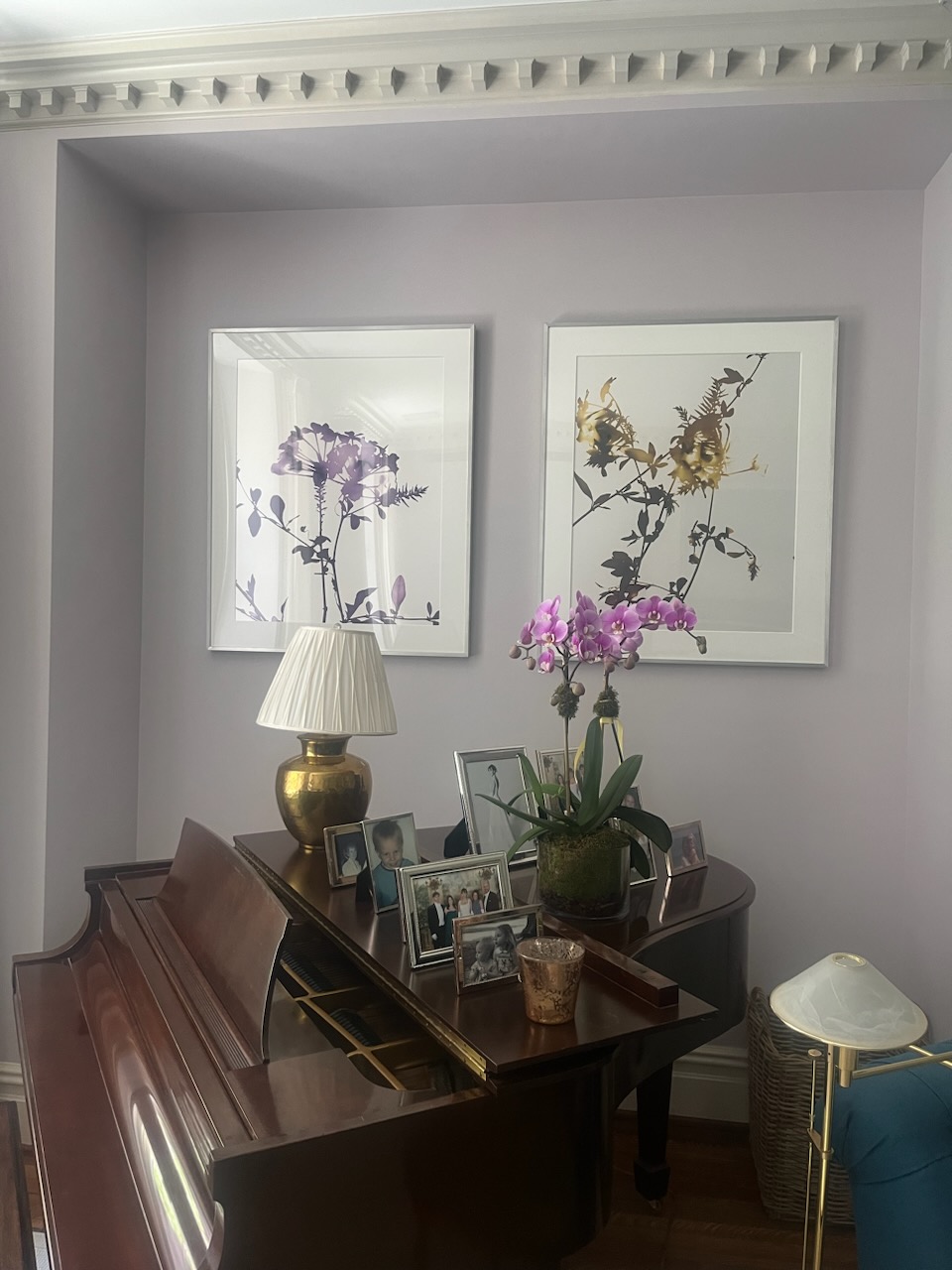 Molly P Rand. Art Consultant.